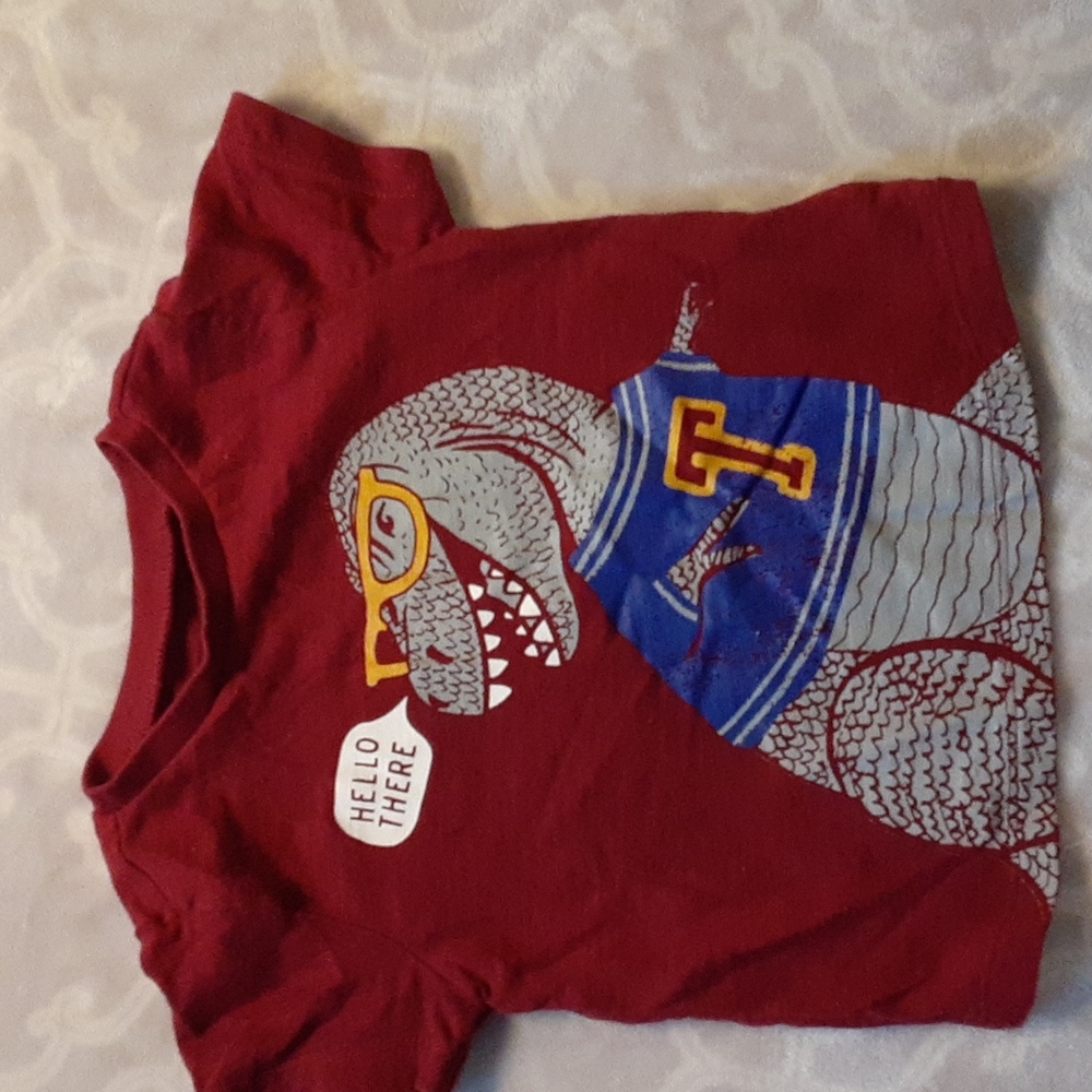6-12 month infant graphic dinosaur